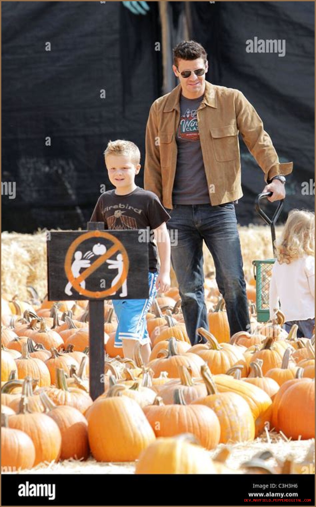 Exploring The Life And Career Of Jaden Boreanaz: A Rising Star