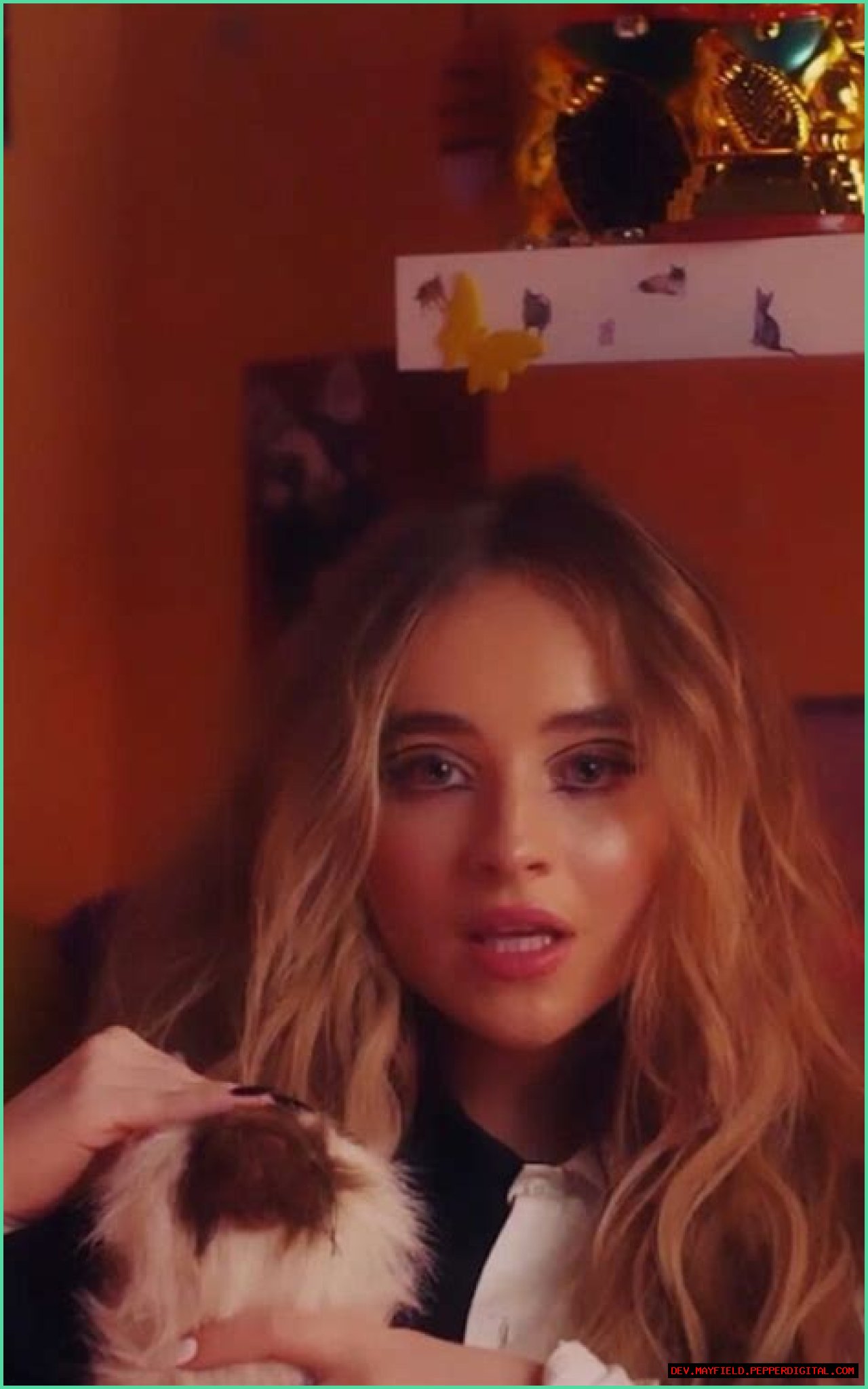 Sabrina Carpenter Dimensions: A Comprehensive Look At Her Physical Attributes And Career