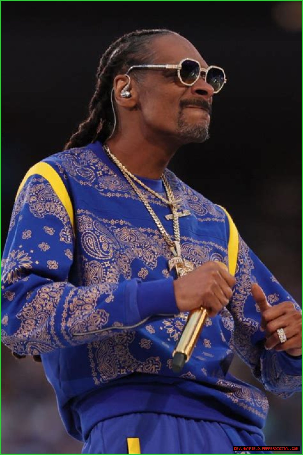 Snoop Dogg: The Controversial Life Of A Felon And Icon