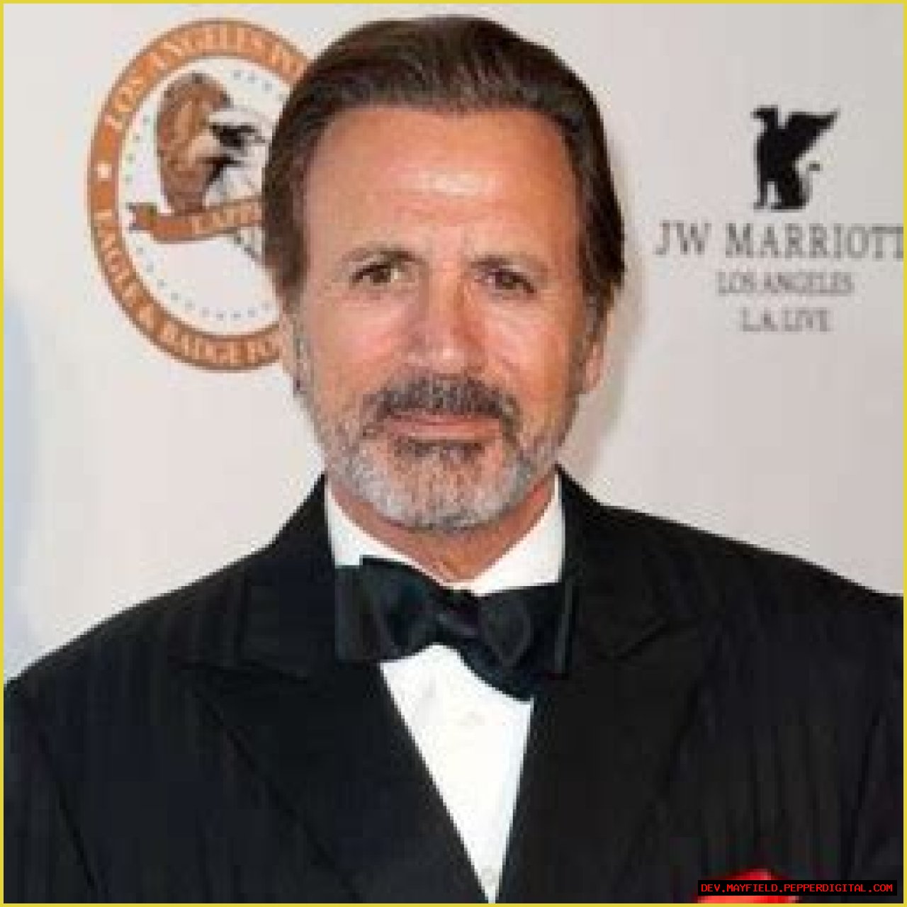 Unraveling The Mystery: Is Frank Stallone Gay?